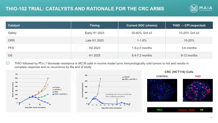 Slide 11